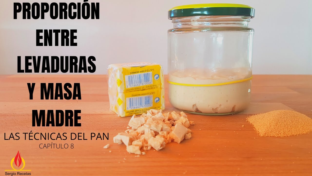 PROPORCI&Oacute;N ENTRE LEVADURAS Y MASA MADRE. Las t&eacute;cnicas del pan. Cap&iacute;tulo 8