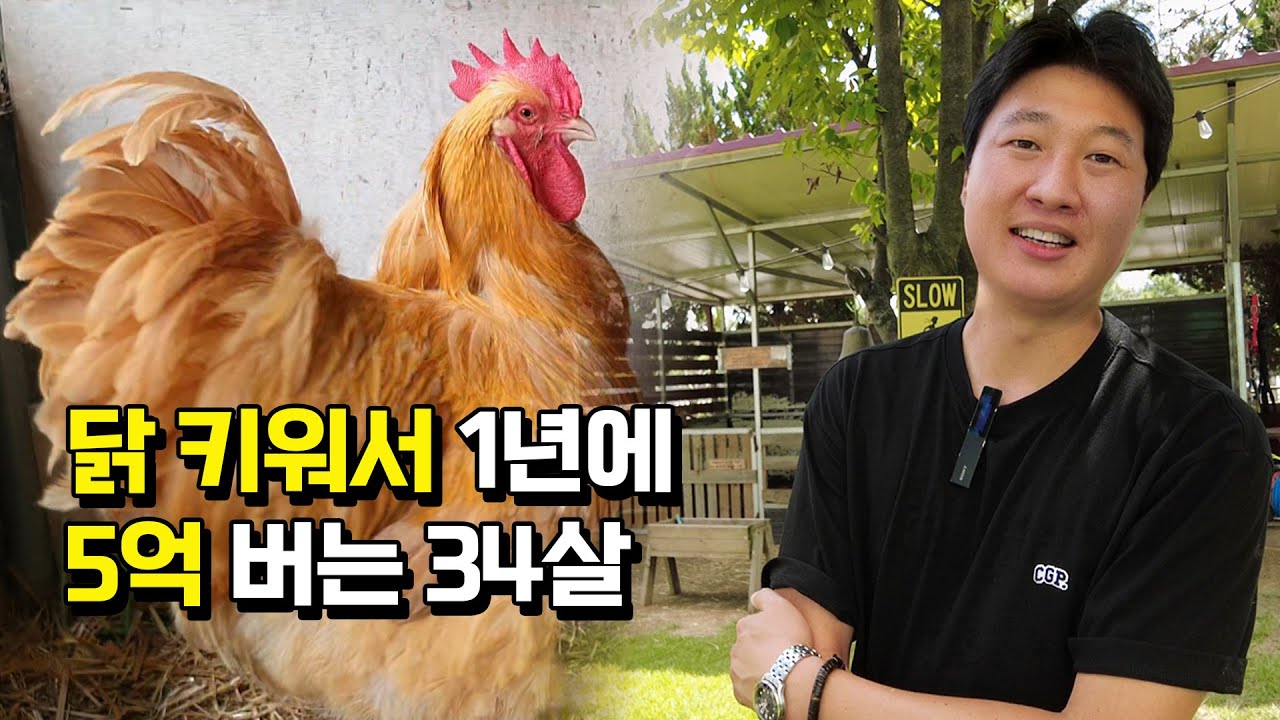닭 키워 일년에 5억버는 34살 청년농부의 비결