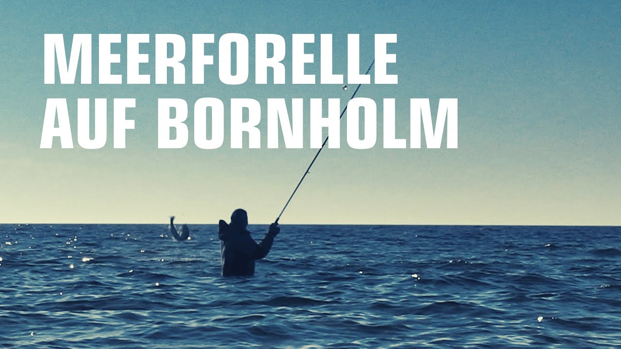 Meerforellenangeln auf Bornholm. Angeln in Dänemark. Urlaub auf Bornholm