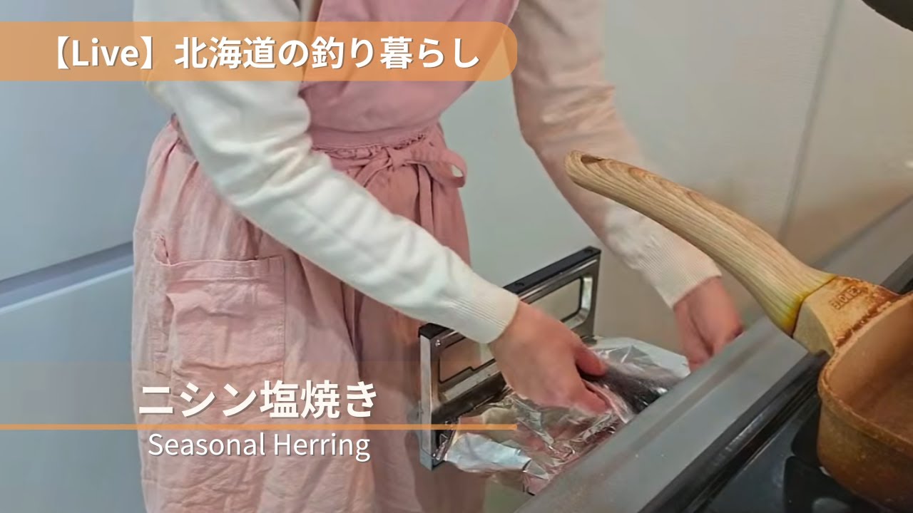 【Live】北海道の釣り暮らし｜旬のニシンを静かに焼く朝｜Fishing Life in Hokkaido｜Seasonal Herring & Quiet Cooking