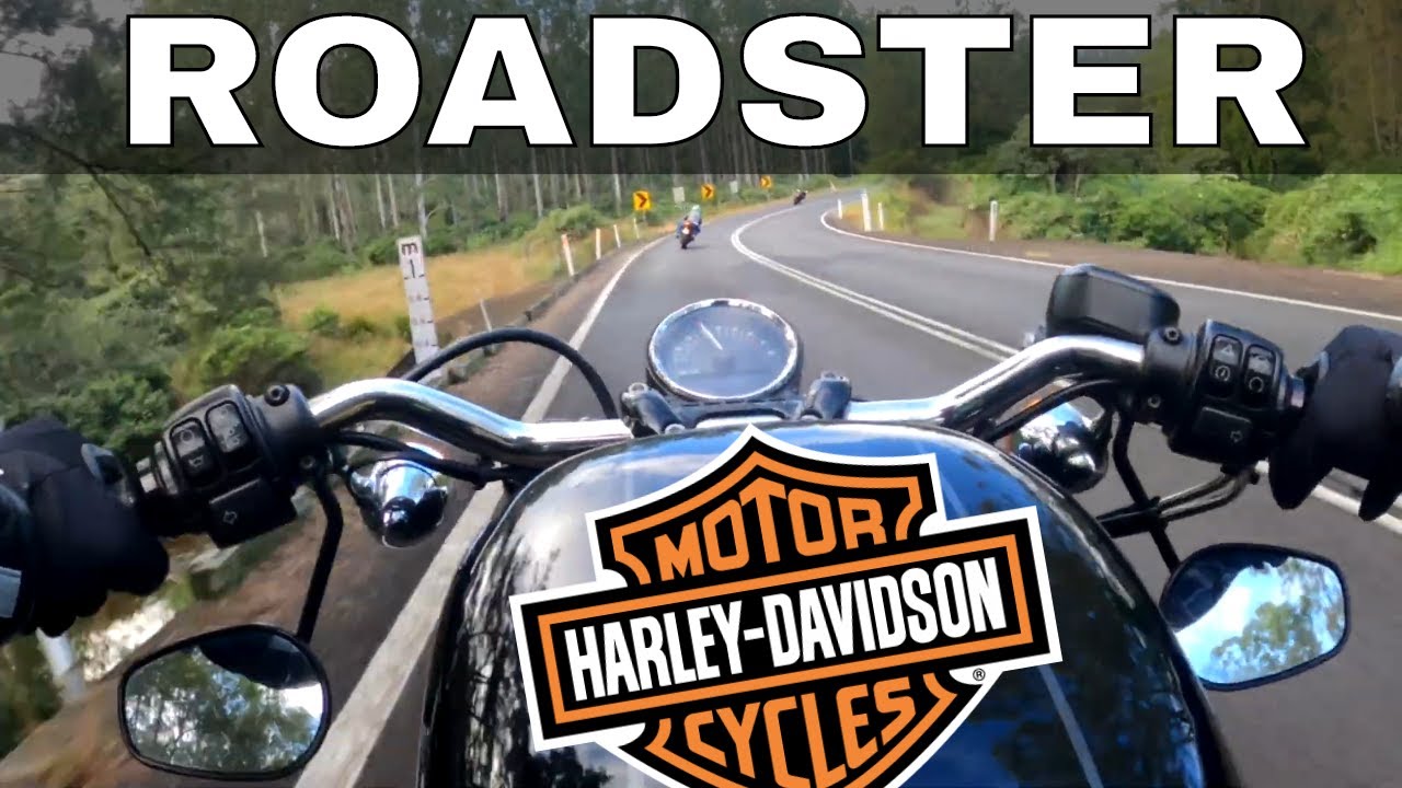 HARLEY DAVIDSON ROADSTER XL1200CX casual canyon carving with SUZUKI GSXR600 and KAWASAKI ZX-10R