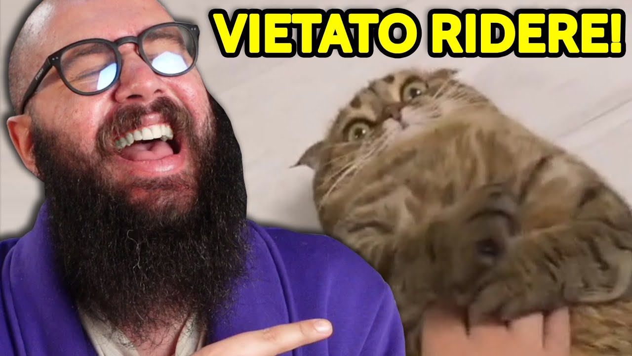 Riusciranno i TikTok dei Miei Abbonati a Farmi Ridere?