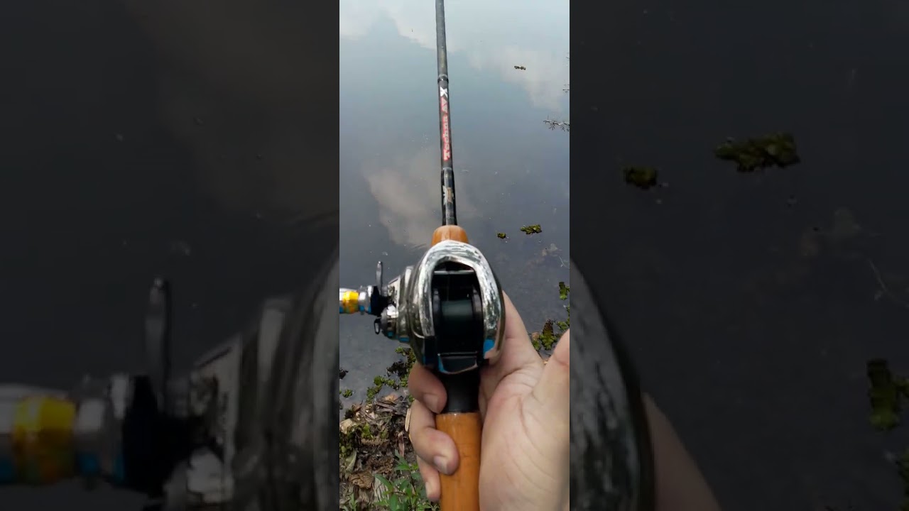 Shimano 21 Antares DC HG Japan model&nbsp;（Left handle）#shorts#Shimano#21antares#antares_dc#AntaresDc