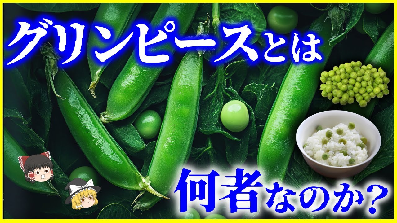 【ゆっくり解説】豆ではなく野菜!?何故嫌われるのか…「グリンピース」とは何者なのか？を解説