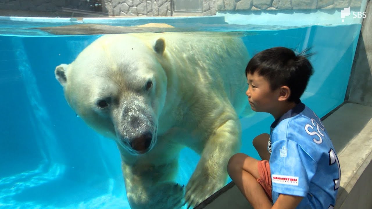 「パクパク食べてくれるから安心」動物園の人気者「ロッシー」にコストコから“おいしいプレゼント”　食品ロスにも貢献⁉