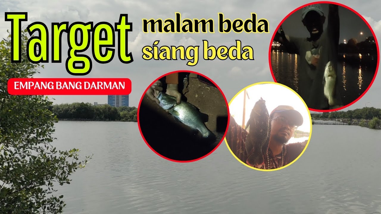 Cuma 20 ribu bisa dapet Mujair & Kakap putih‼️Hasil sekorang penuh