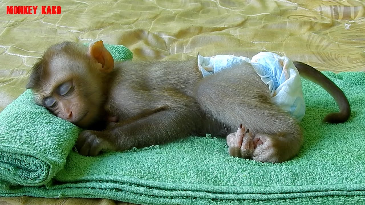 Cute Baby Luna Enjoy Relaxing Massage And Sleep