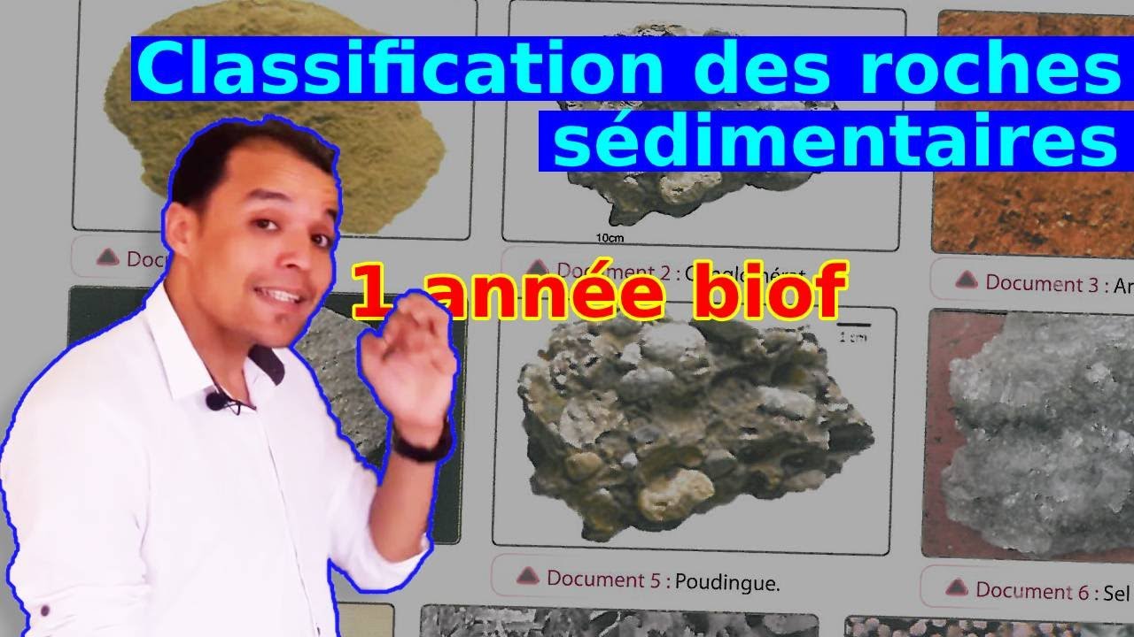 1 année collège SVT Classification des roches sédimentaires