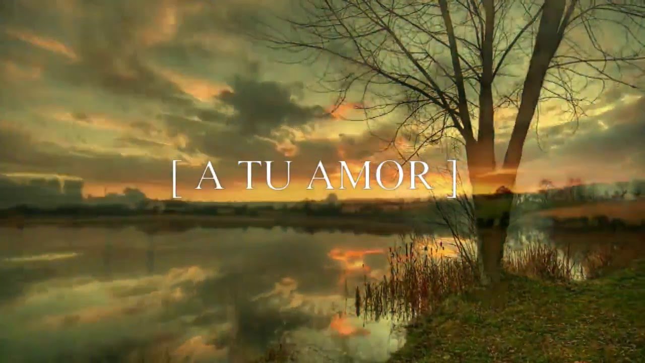 David Luna - Maravillado Estoy [Video Lyric] FuegoMusicMedia