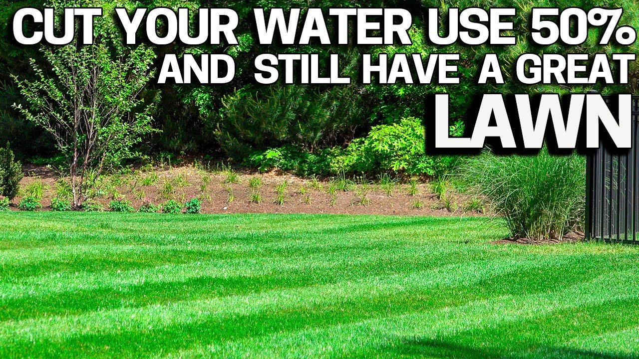 Have a Lawn with 50% less water.  BEST TIPS