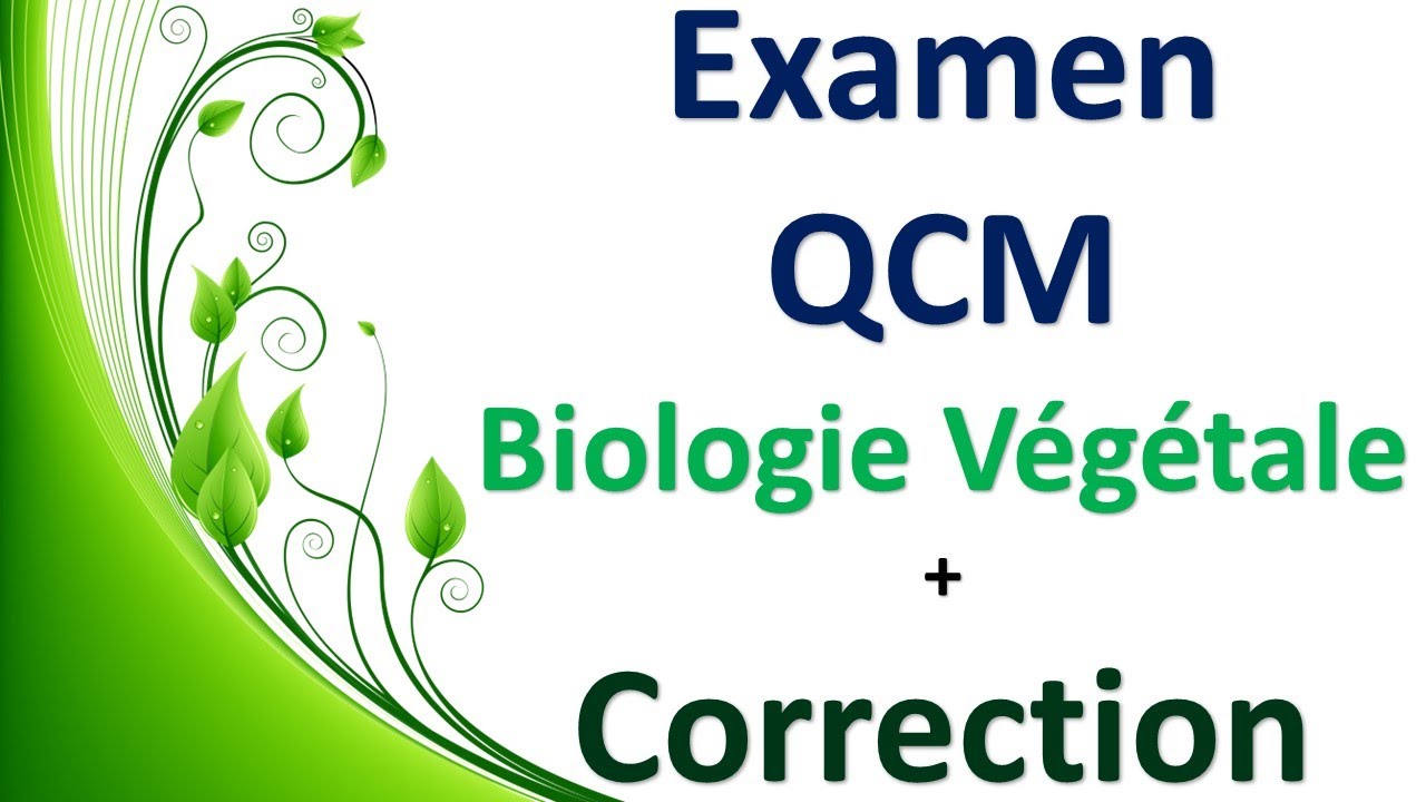 Examen QCM Biologie Végétale & Correction