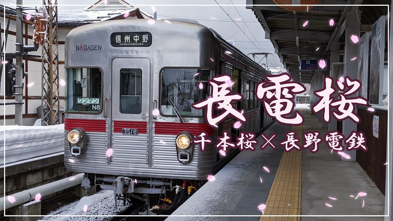 『中学生制作』長電桜【千本桜&times;長野電鉄】