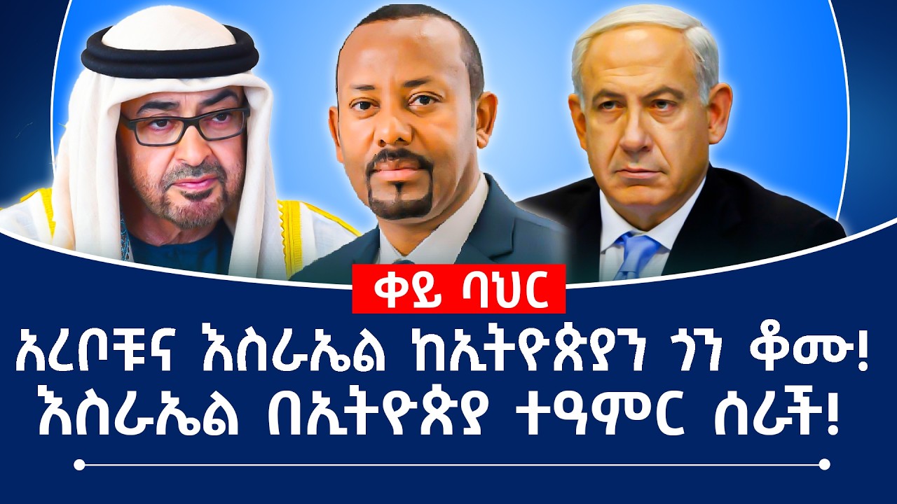 አረቦቹና እስራኤል ከኢትዮጵያን ጎን ቆሙ! | እስራኤል በኢትዮጵያ ተዓምር ሰራች! #ethiopia #redsea