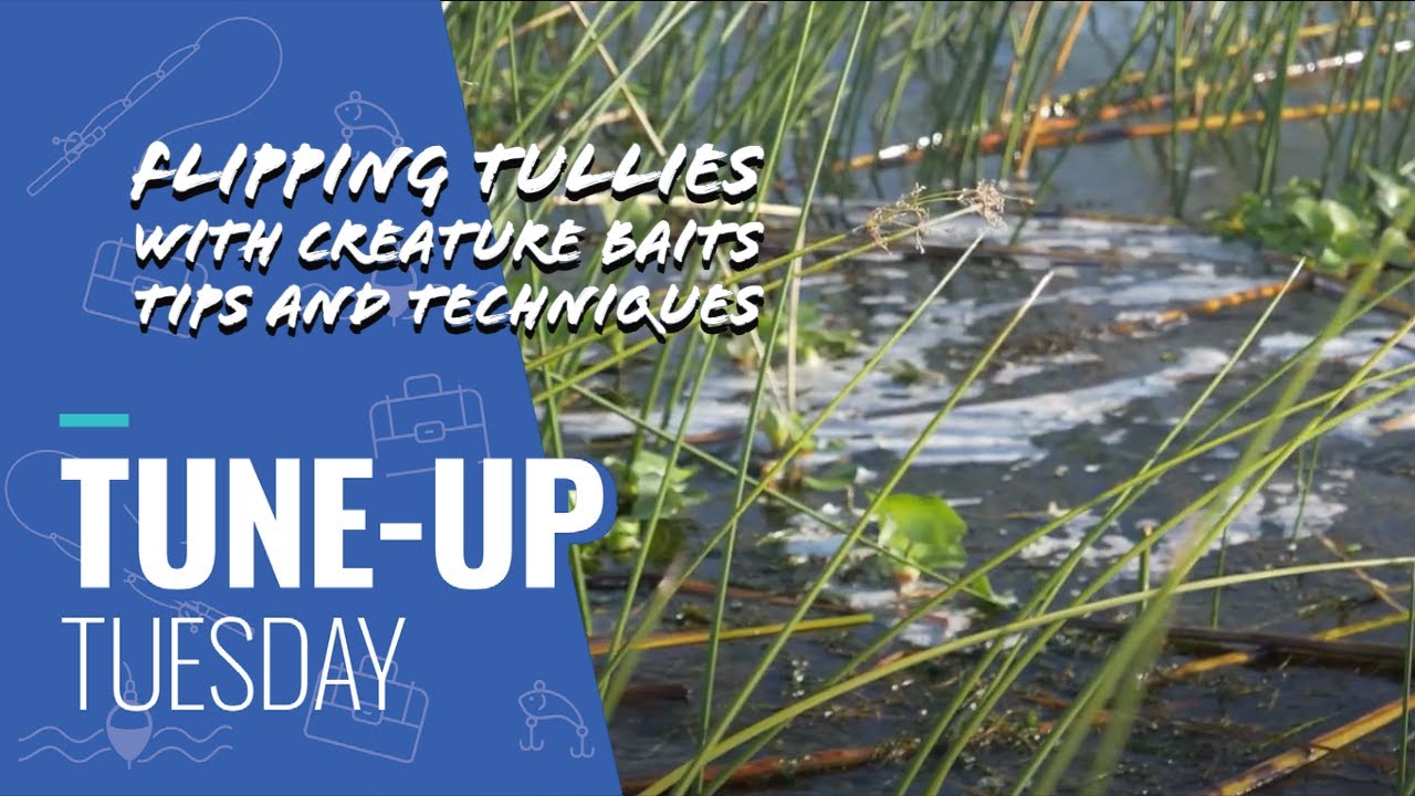 Tune-Up Tuesday | Fishing Tullies with a Creature Bait
