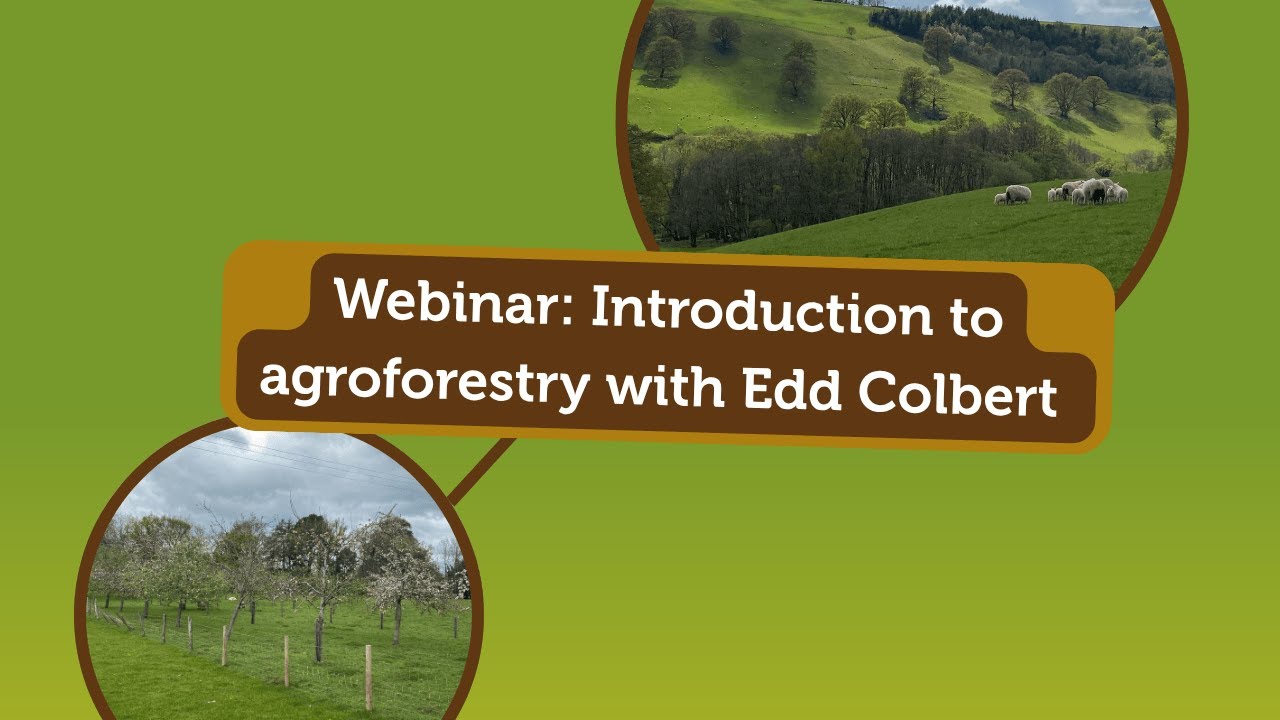 Introduction to Agroforestry with Edd Colbert (webinar)