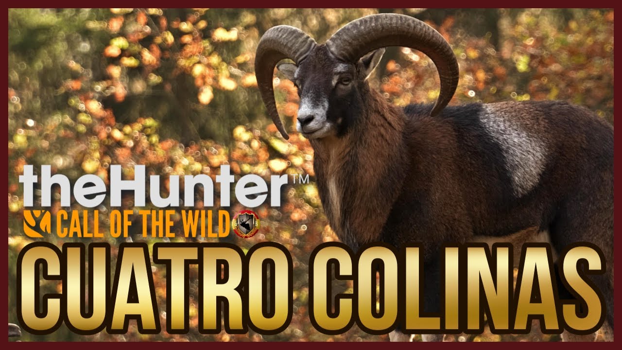 En Directo 🔴 CUATRO COLINAS LA RESERVA DE LA LUZ Y EL SOL☀️🌿 the hunter call of the wild ESPAÑOL