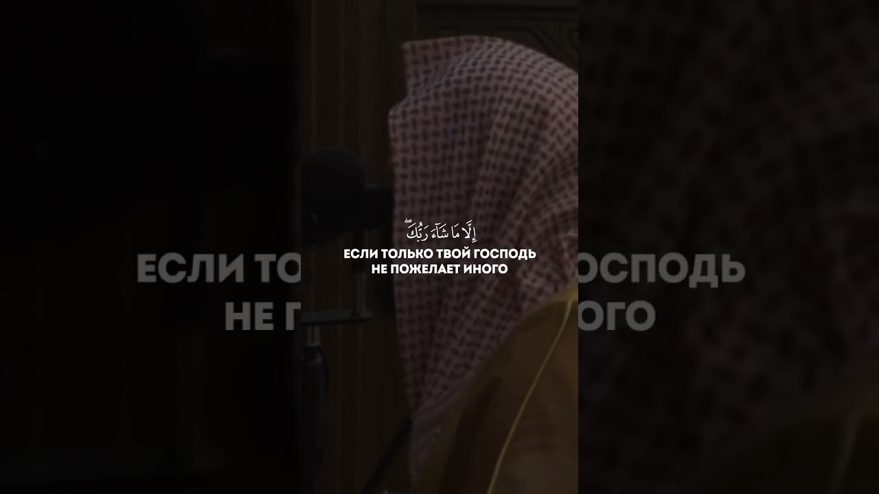 Сура: 11 Худ (108) Чтец: Мухаммад аль-Люхайдан