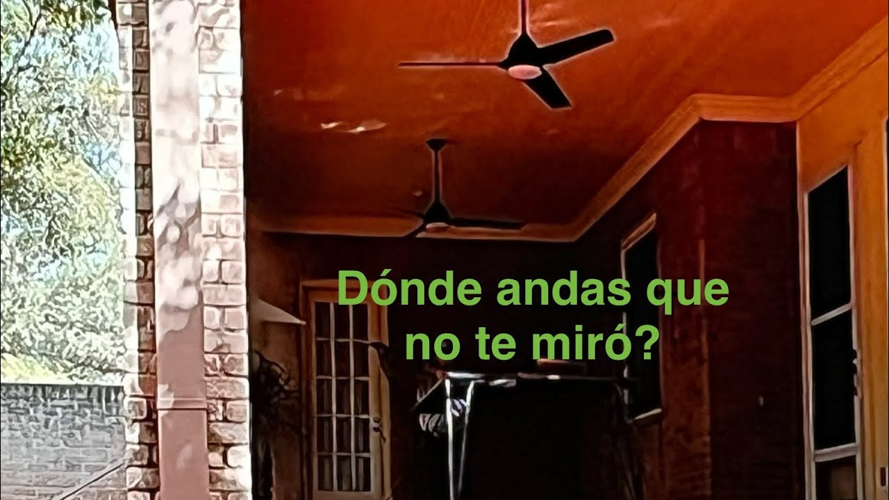Me estoy cambiando las herraduras patrón o sea se los zapatos ￼