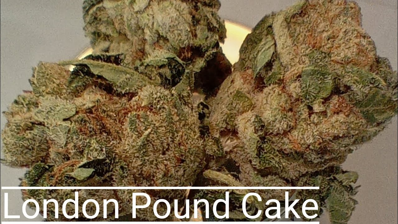 #37 London Pound Cake By KYND ( Official Product Review)AYR DISPENSARY PRODUCT