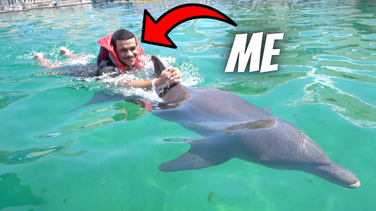 Swimming with DOLPHINS at Miami Seaquarium!
