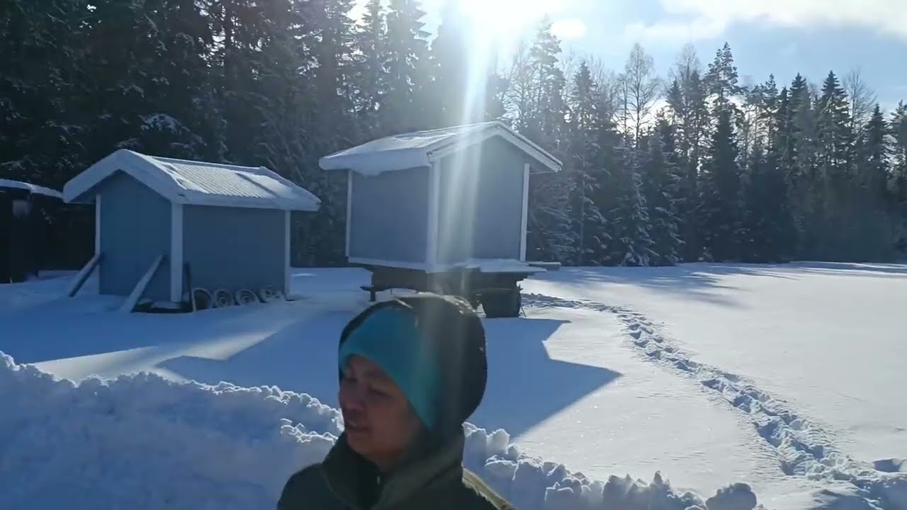 Iso taimihylly pieneen tilaan... Ei mennyt oikein