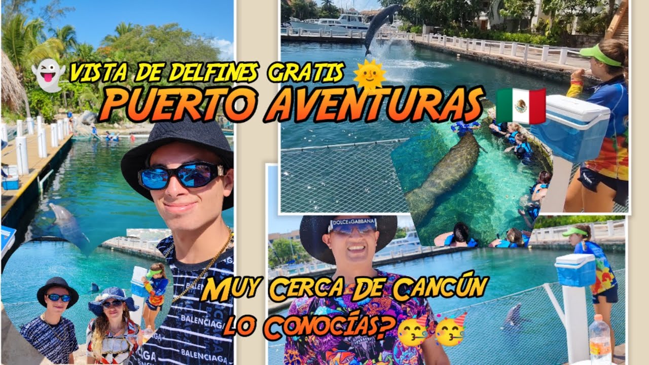 Puerto Aventuras  🇲🇽 vista de delfines gratis🥳🥳🥳🥳👻🌞👻 #cancun  #delfines #puertoaventuras