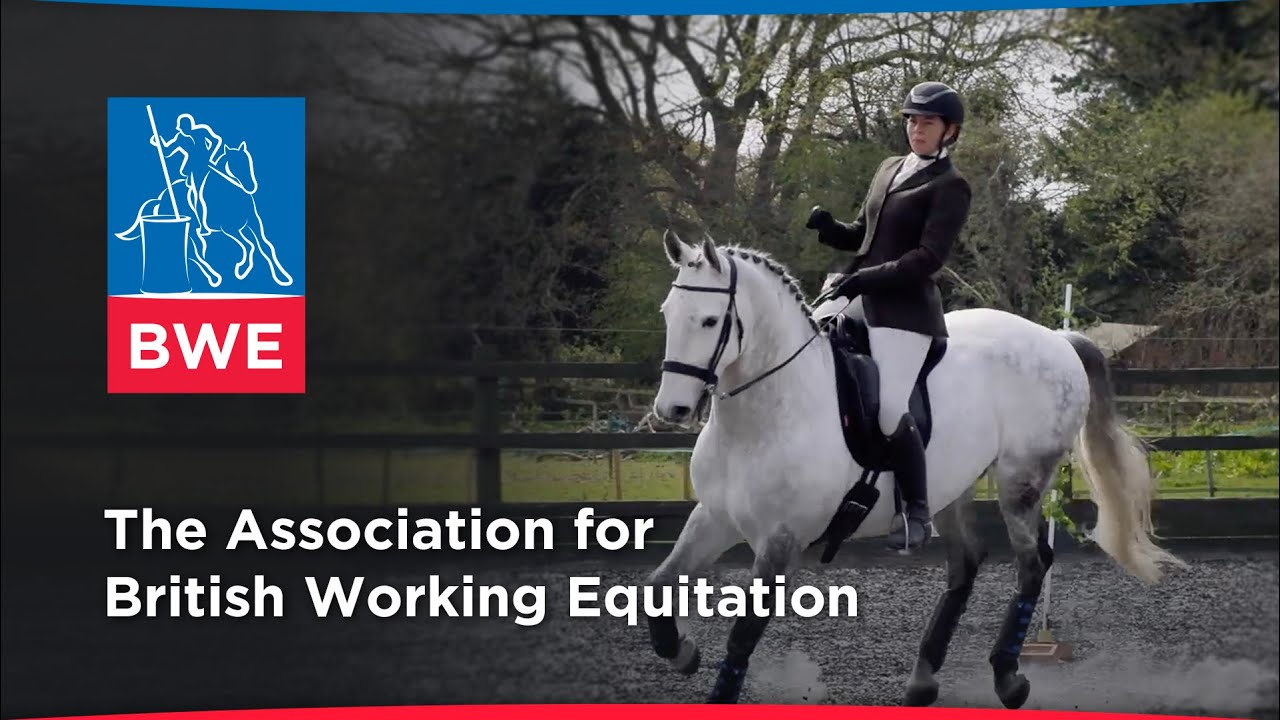 The Association for British Working Equitation