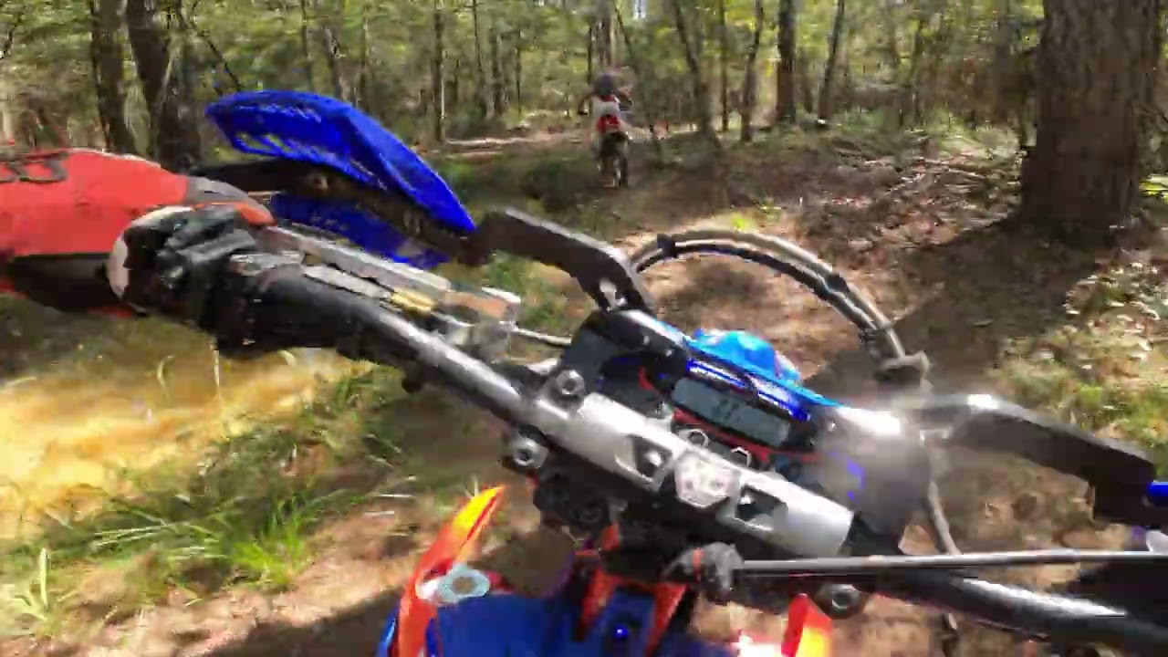 Sam Houston National Forest is OPEN! OHV (west side at least)