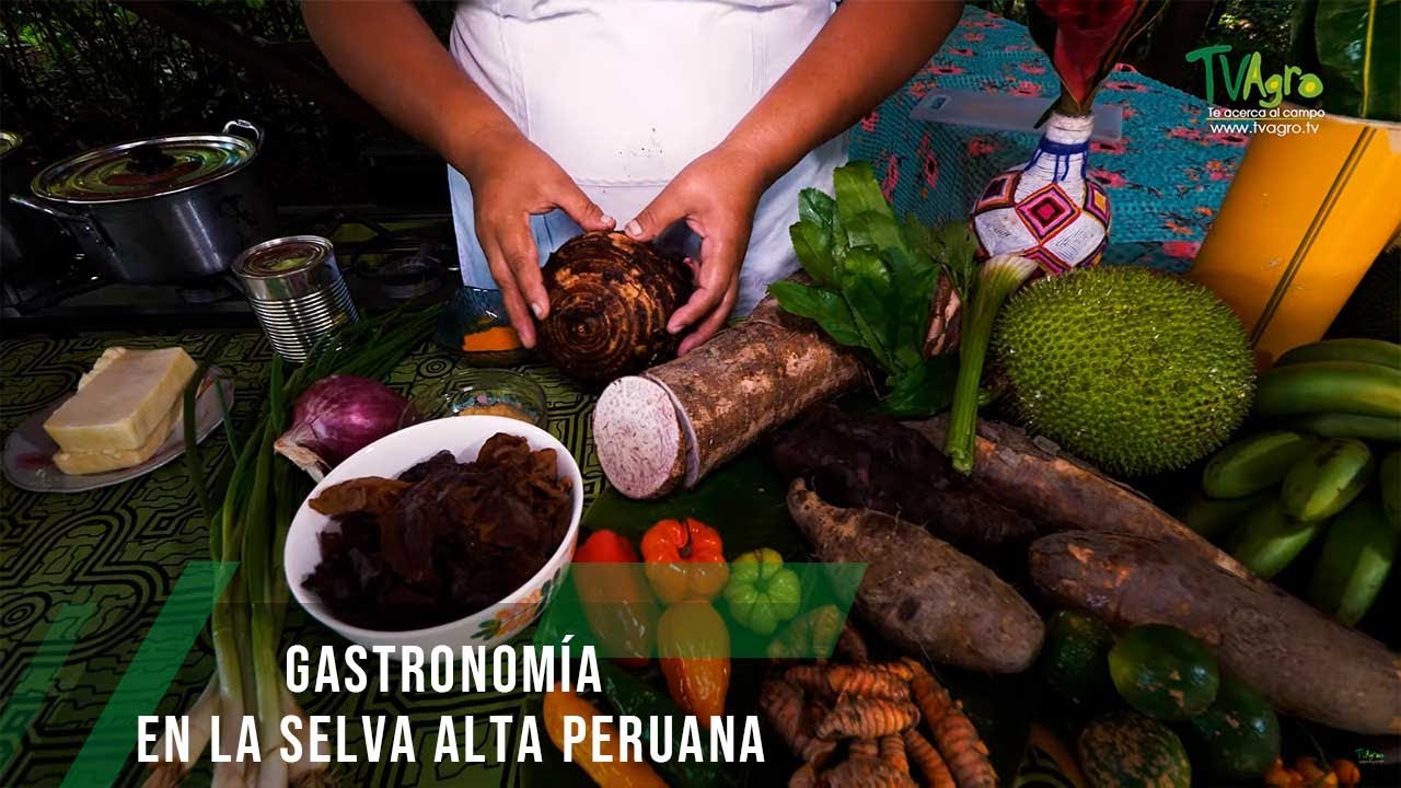 Gastronomía en la selva alta Peruana - TvAgro por Juan Gonzalo Angel Restrepo