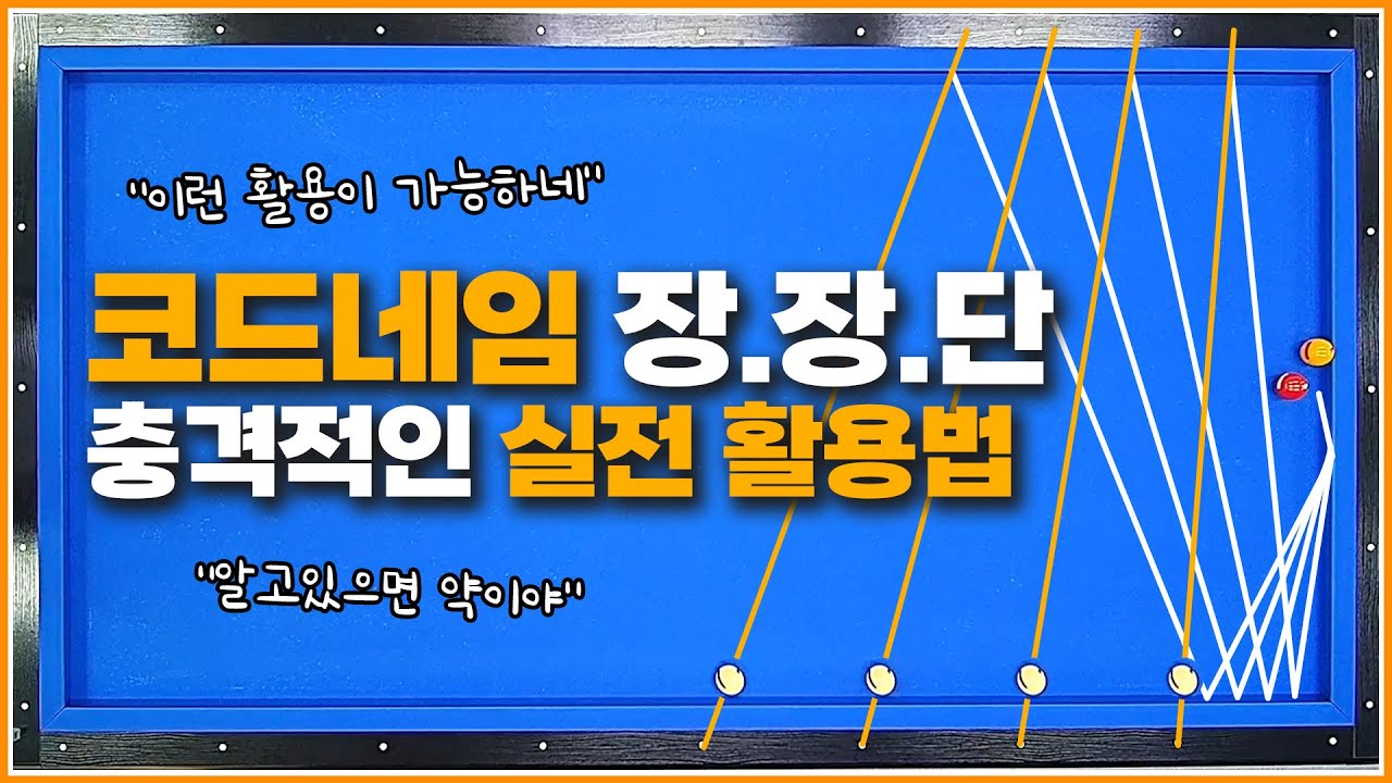 📢코드네임 장장단↗충격적인 실전 활용법! (feat.하프시스템)
