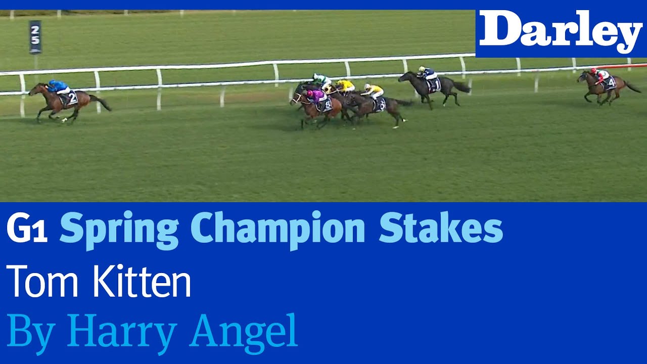 Tom Kitten by Harry Angel wins the G1 Spring Champion Stakes at Randwick