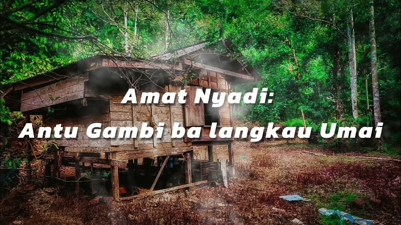 Cherita amai nyadi: Antu Gambi ba langkau umai