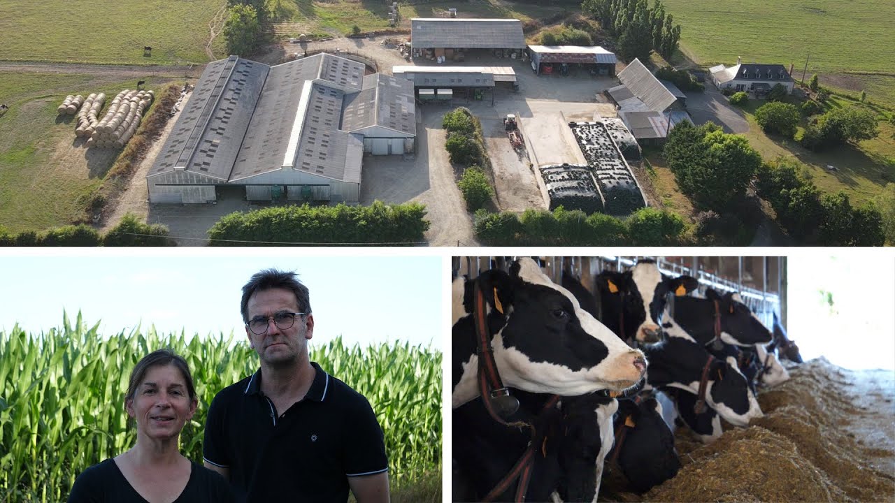 🐄 Exploitation laitière de 1 050 000 L à reprendre en Mayenne | 2 robots
