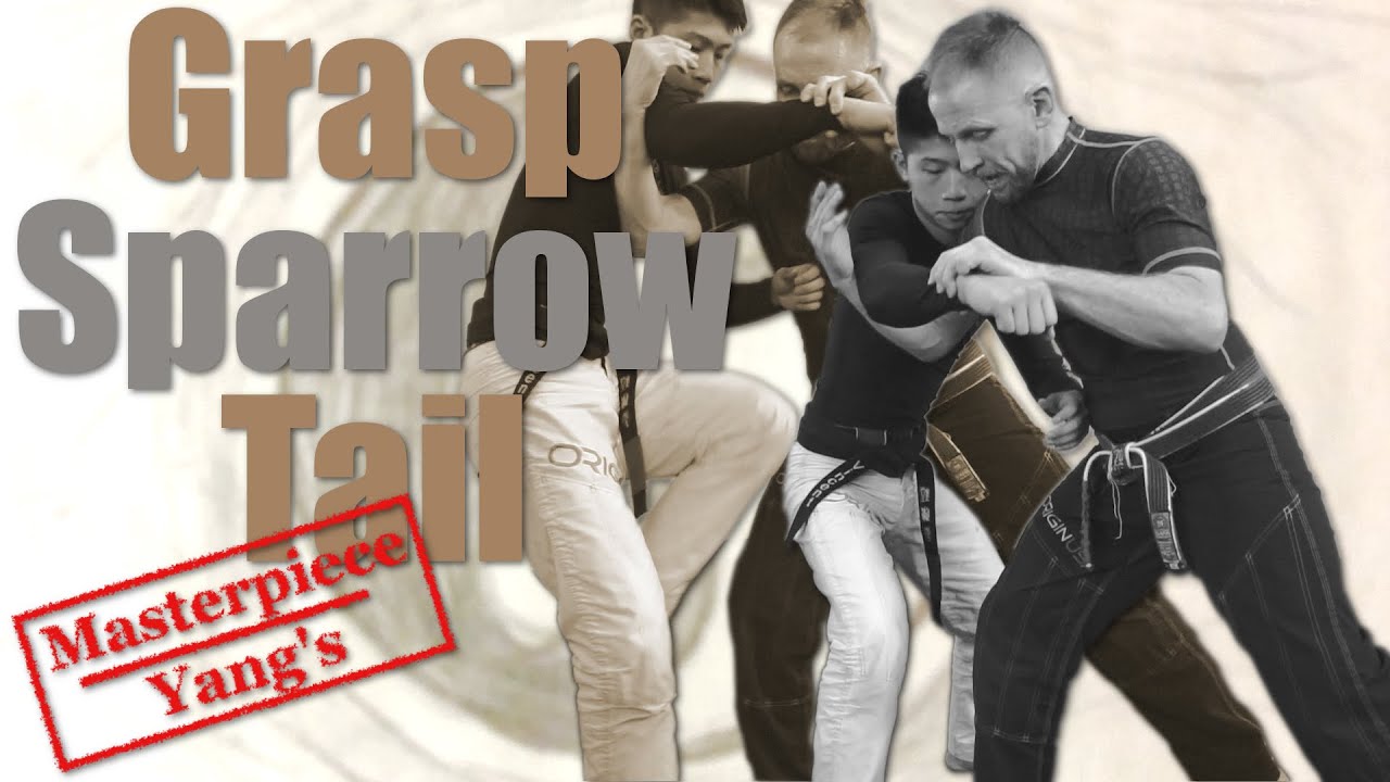 Grasp Sparrow Tail, REVEALED!!! - Yang Lu Chan's Masterpiece