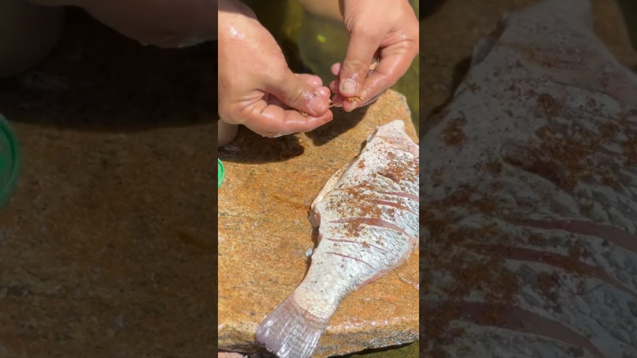 Experience the thrill of fishing in pristine waters 