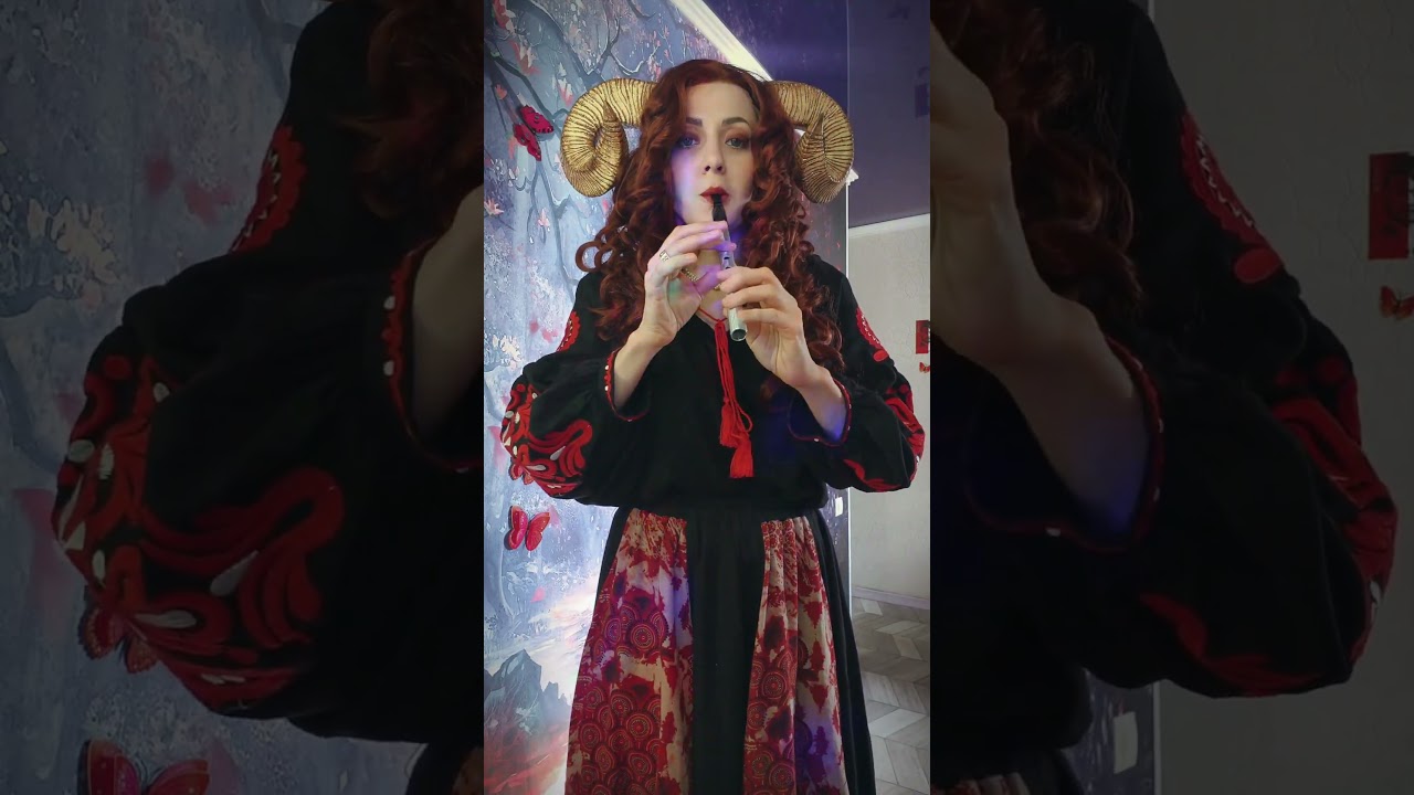 Down By The Sally Gardens - tin whistle and hammered dulcimer