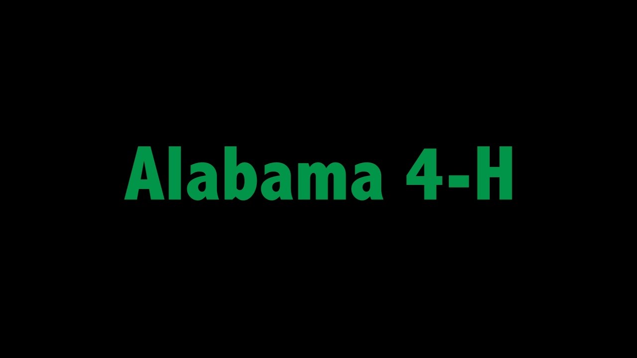 Alabama 4-H Summer Camp Highlight