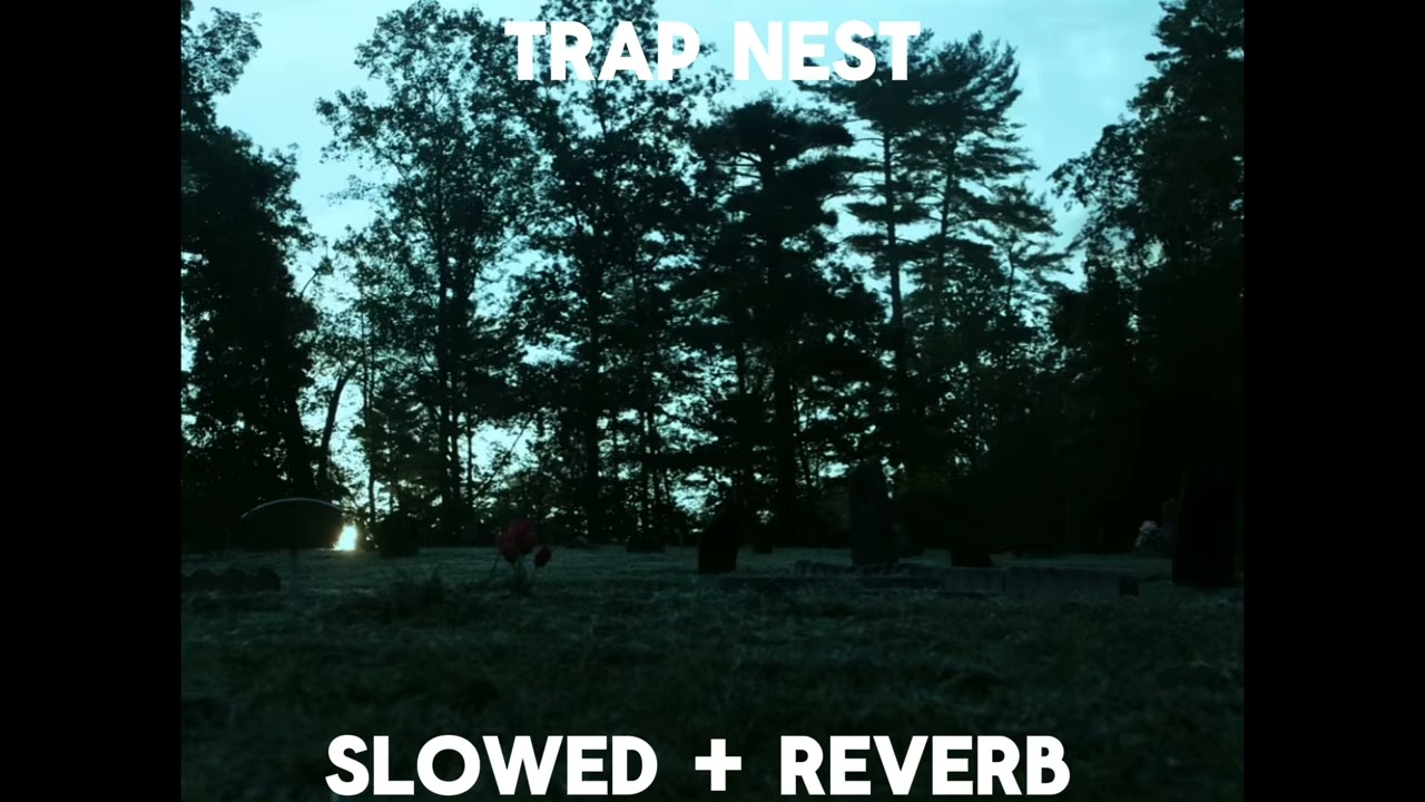 Trap Nest - VIOLENT VIRA | 𝓢𝓵𝓸𝔀𝓮𝓭 + 𝓡𝓮𝓿𝓮𝓻𝓫 𝓗𝓸 |