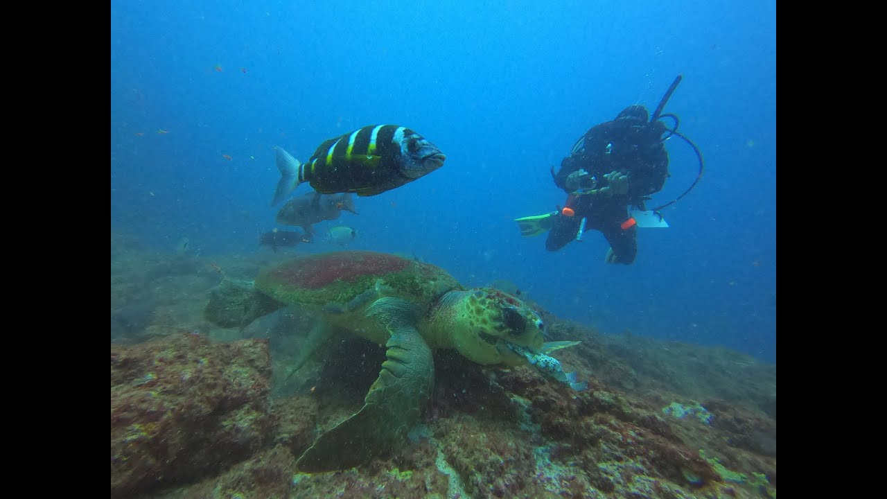 Boa Vista Diving
