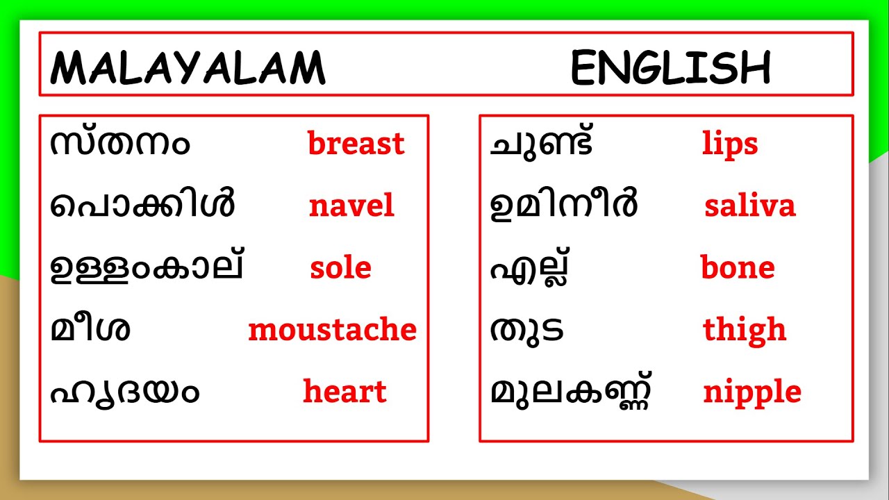Essential Words in English, Malayalam | Parts of Human Body|