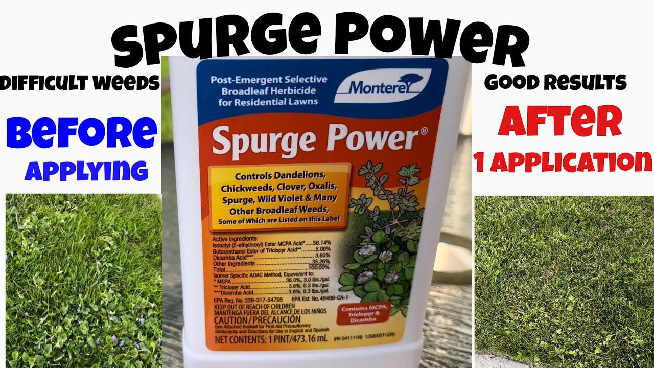 Spurge Power for difficult weeds