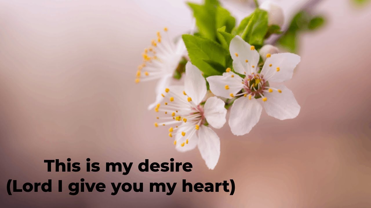 This is my desire (Lord I give you my heart) - Song with Lyrics