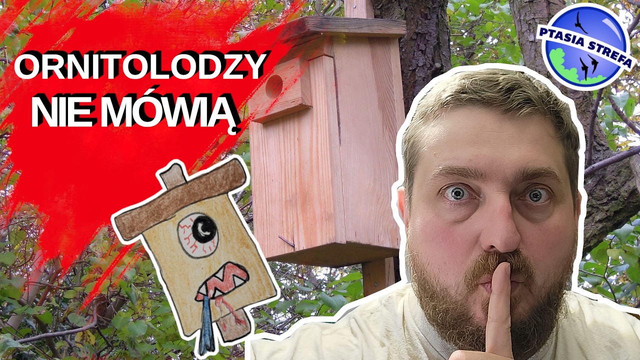Budki to zło dla ptak&oacute;w...