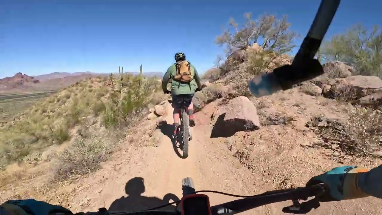 Red Mountain Rush Hawes Trail System/ Tonto National Forest Mesa, AZ