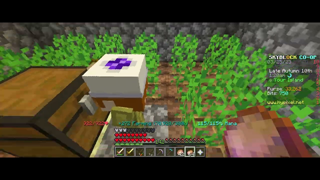 Rising up the Hypixel skyblock leaderboards