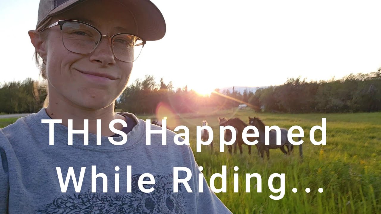 🌅  What Happens Every Morning? | Small Farm Vlog | Horses | Goats | Real Life