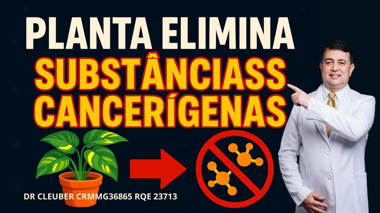 Planta Anticâncer:  A Planta que elimina Substâncias Cancerígenas