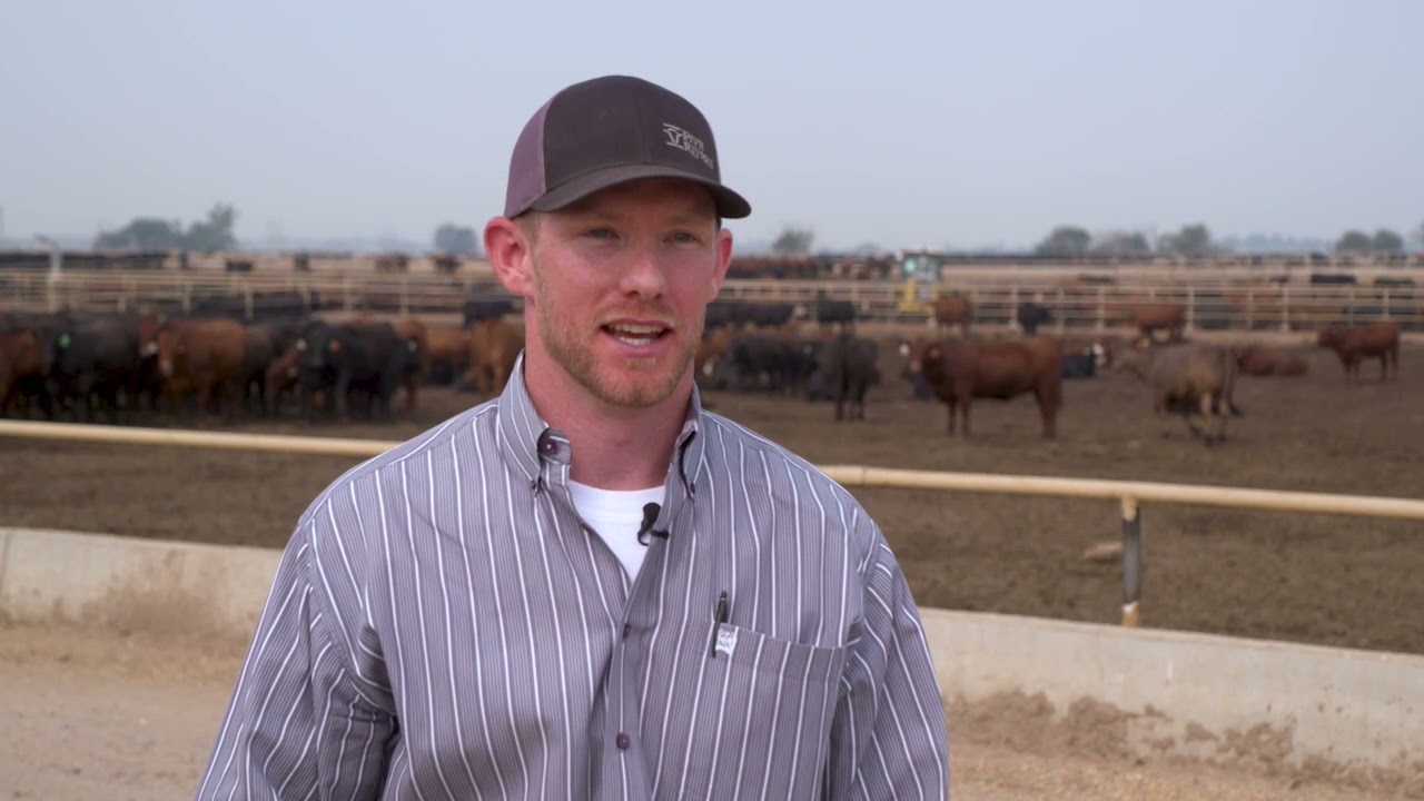 Five Rivers Feedyard