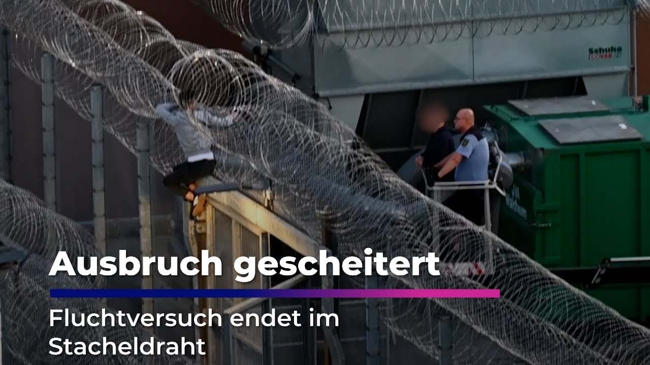 Ausbruch gescheitert - Fluchtversuch endet im Stacheldraht