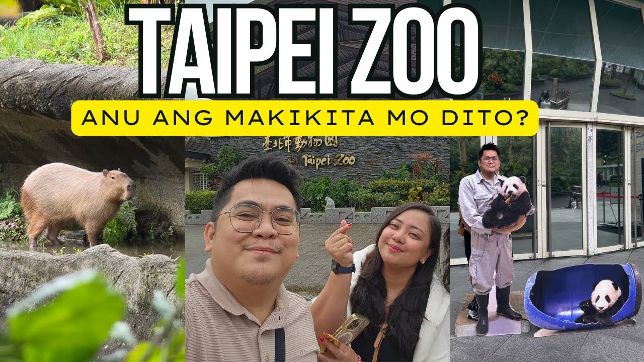 TAIWAN VLOG | TAIPEI ZOO EXPERIENCE, WHAT TO EXPECT INSIDE  #taipeizoo
